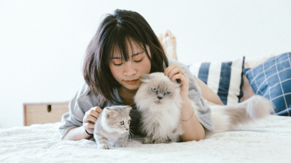 Choosing the perfect pet for your home can be a hassle at times. However, there are ways you can decide which pet will be the best one for you. Read more to find out.