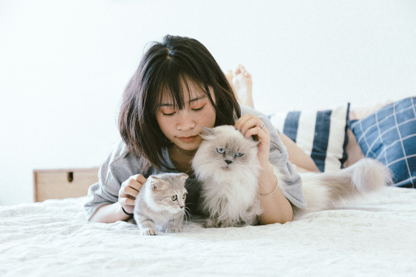 Choosing the perfect pet for your home can be a hassle at times. However, there are ways you can decide which pet will be the best one for you. Read more to find out.