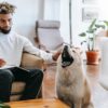 Different pet owners have different personalities