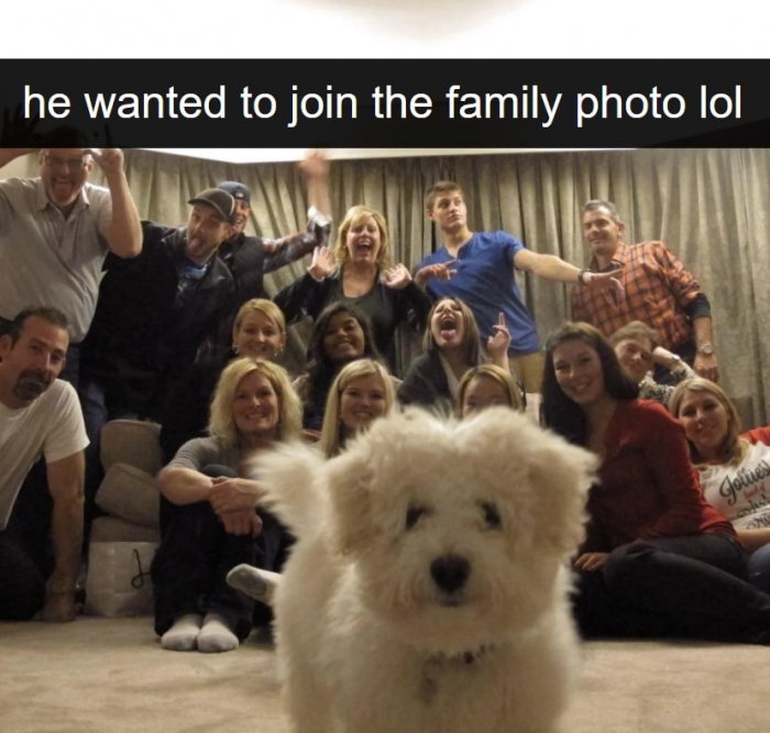 The Ultimate Guide to Capturing Hilarious Family Moments: Familie Bild Lustig