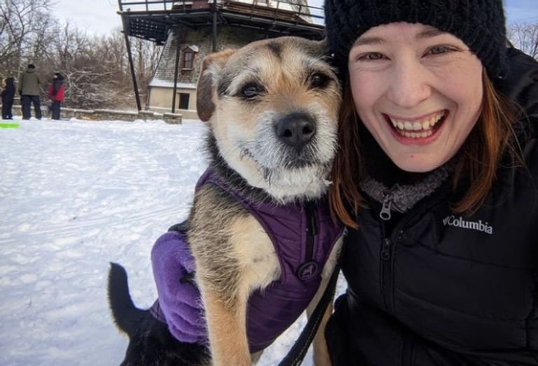 Lost Dog Keeps Riding The Bus, Officials Track His City Adventures