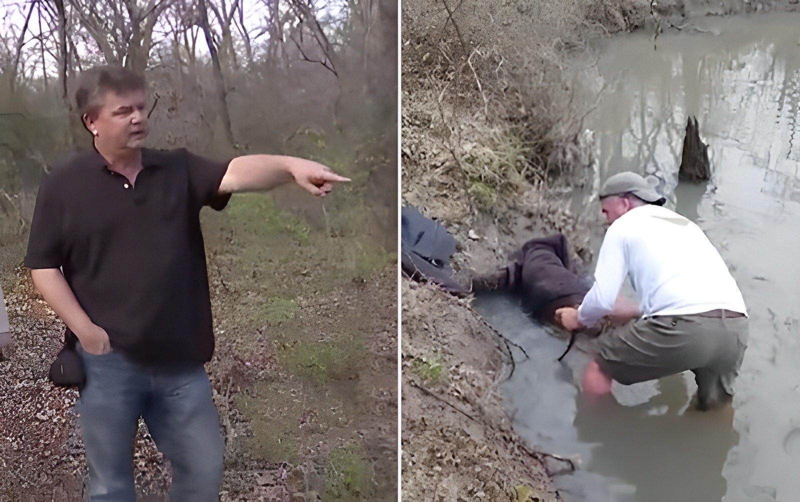 Mysterious Creature Is Rescued By A Hiker In A Muddy Pond Past Chronicles