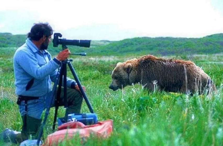 37 Cute Wild Animals Disturbing Wildlife Photographers’ Work