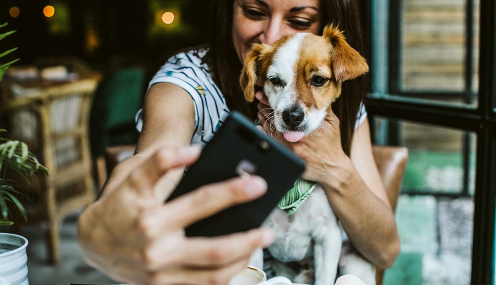 Total Animal Craze: How Millennials' Love For Their Pets Is Everywhere ...